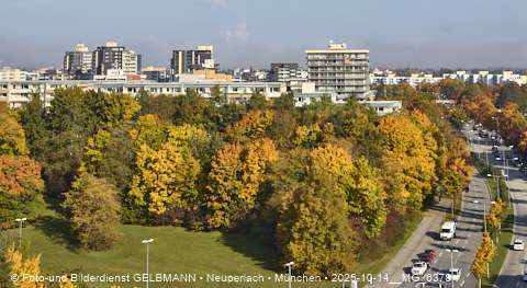 15.10.2025 - goldener Oktober mit Blick auf das Marx-Zentrum und Wohnanlage am Karl-Marx-Ring 52-62